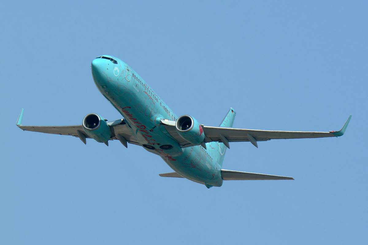 D-ASXO (29649) 2008 Boeing 737-8HX WL