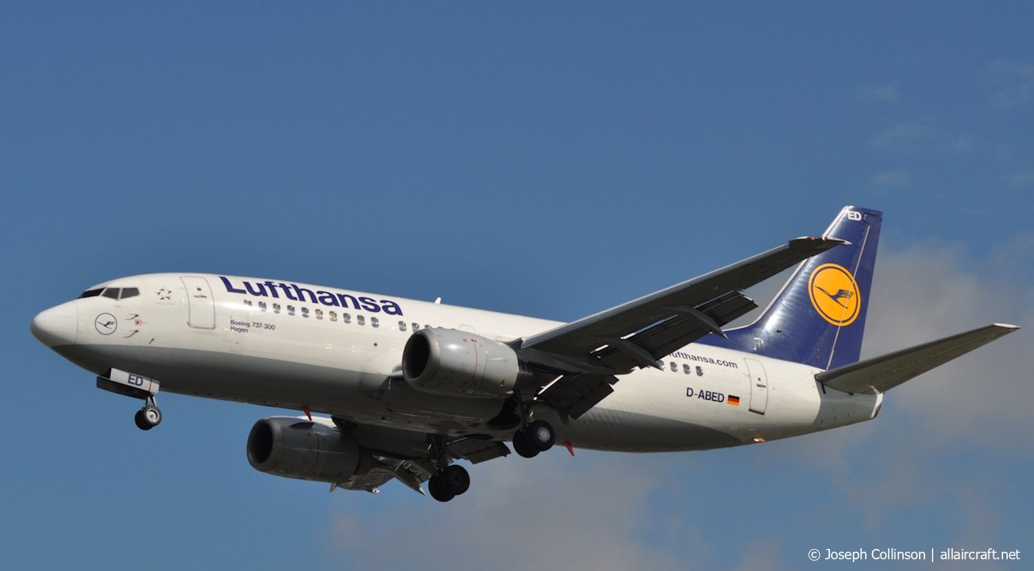 D-ABED · Boeing 737-330 · (LHR / EGLL)