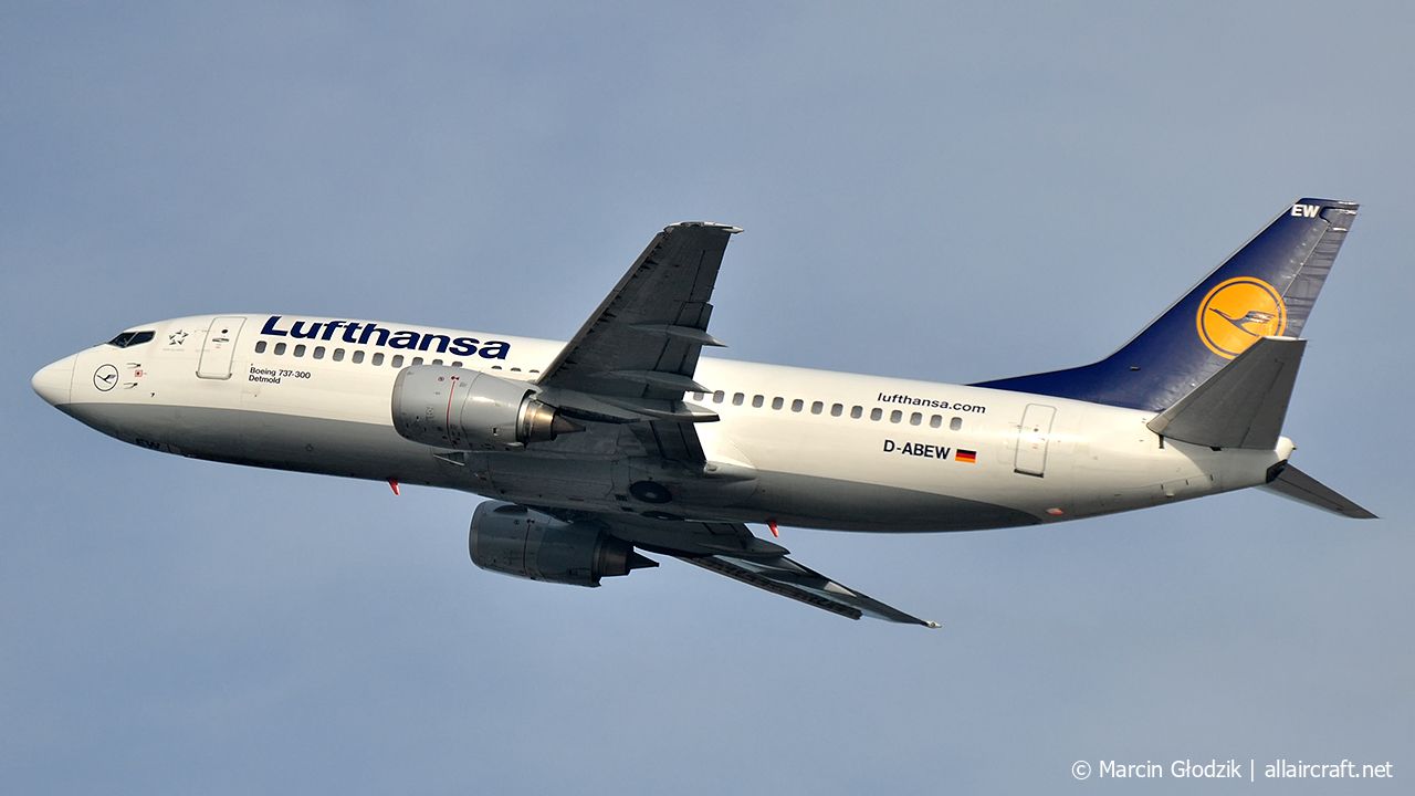 D-ABEW (27905) 1995 Boeing 737-330