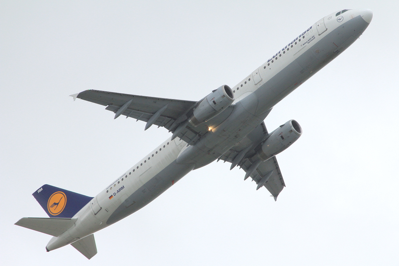 D-AIRM · Airbus A321-131 · (FCO / LIRF)
