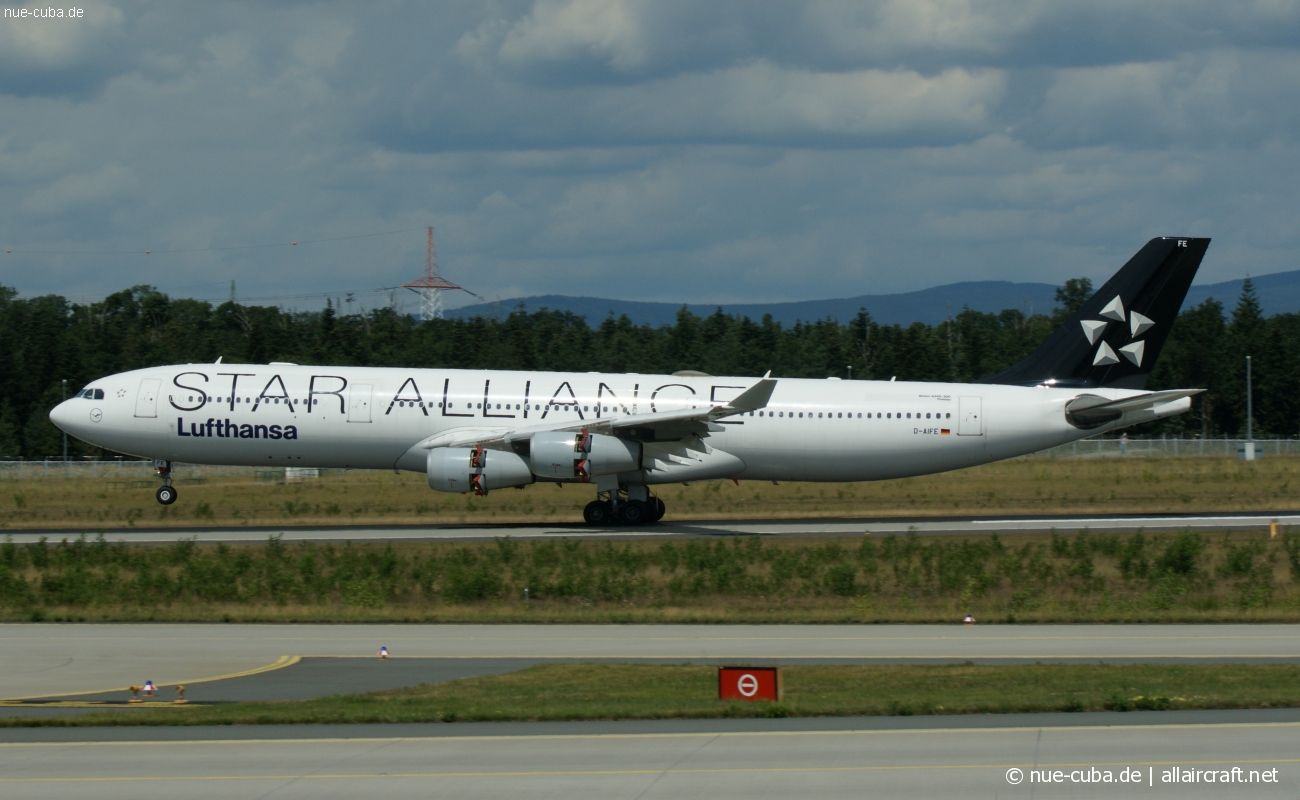 D-AIFE · Airbus A340-313 · (FRA / EDDF)