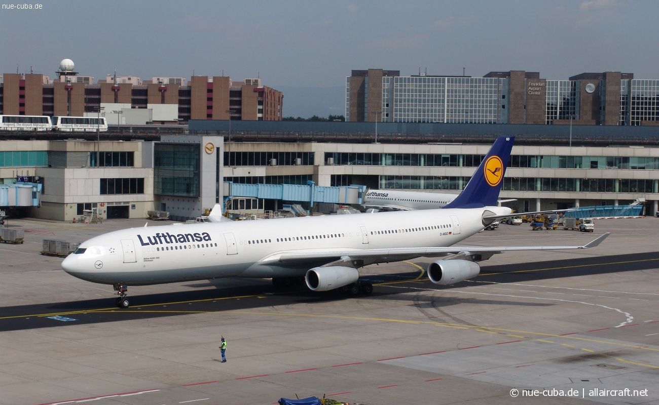 D-AIGO · Airbus A340-313 · (FRA / EDDF)