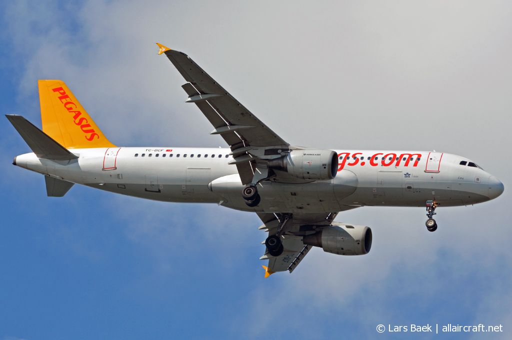 TC-DCF (3831) 2009 Airbus A320-216