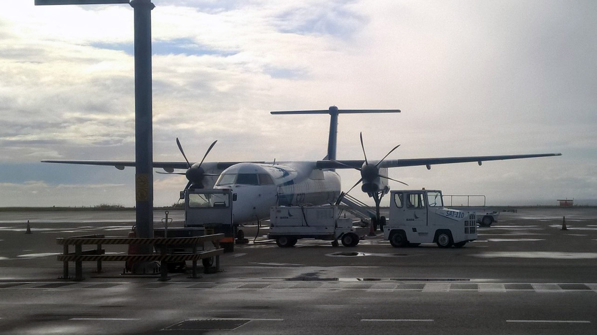CS-TRF · Bombardier Dash 8-Q402 · (PDL / LPPD)