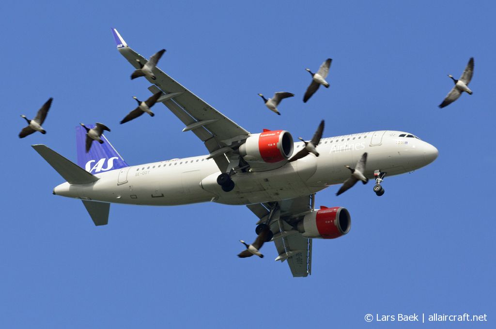 SE-DOY · Airbus A320-251N · (CPH / EKCH)