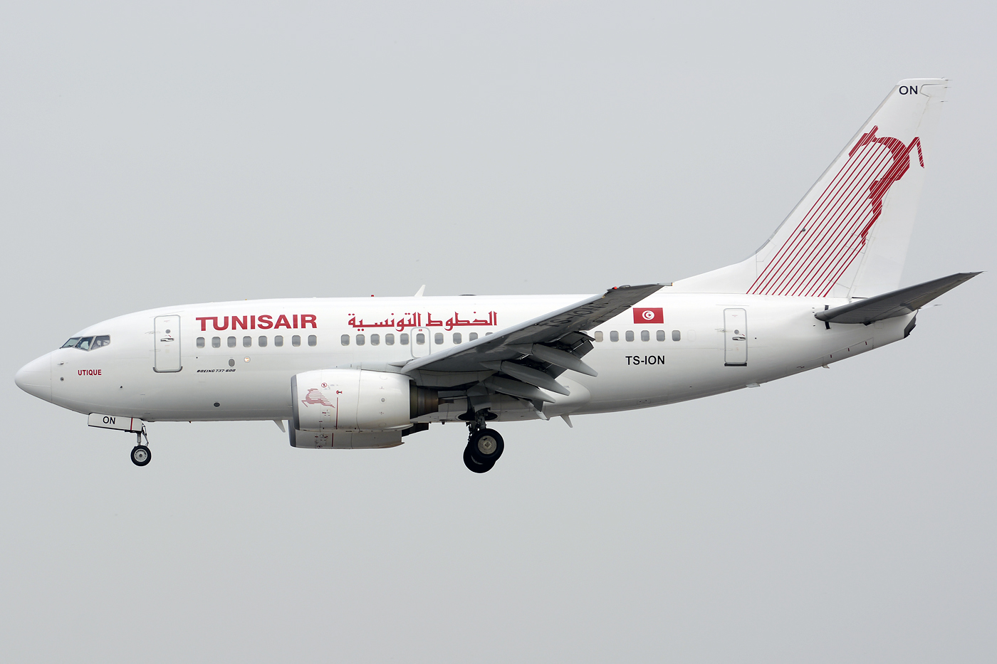 TS-ION (29499) 2000 Boeing 737-6H3