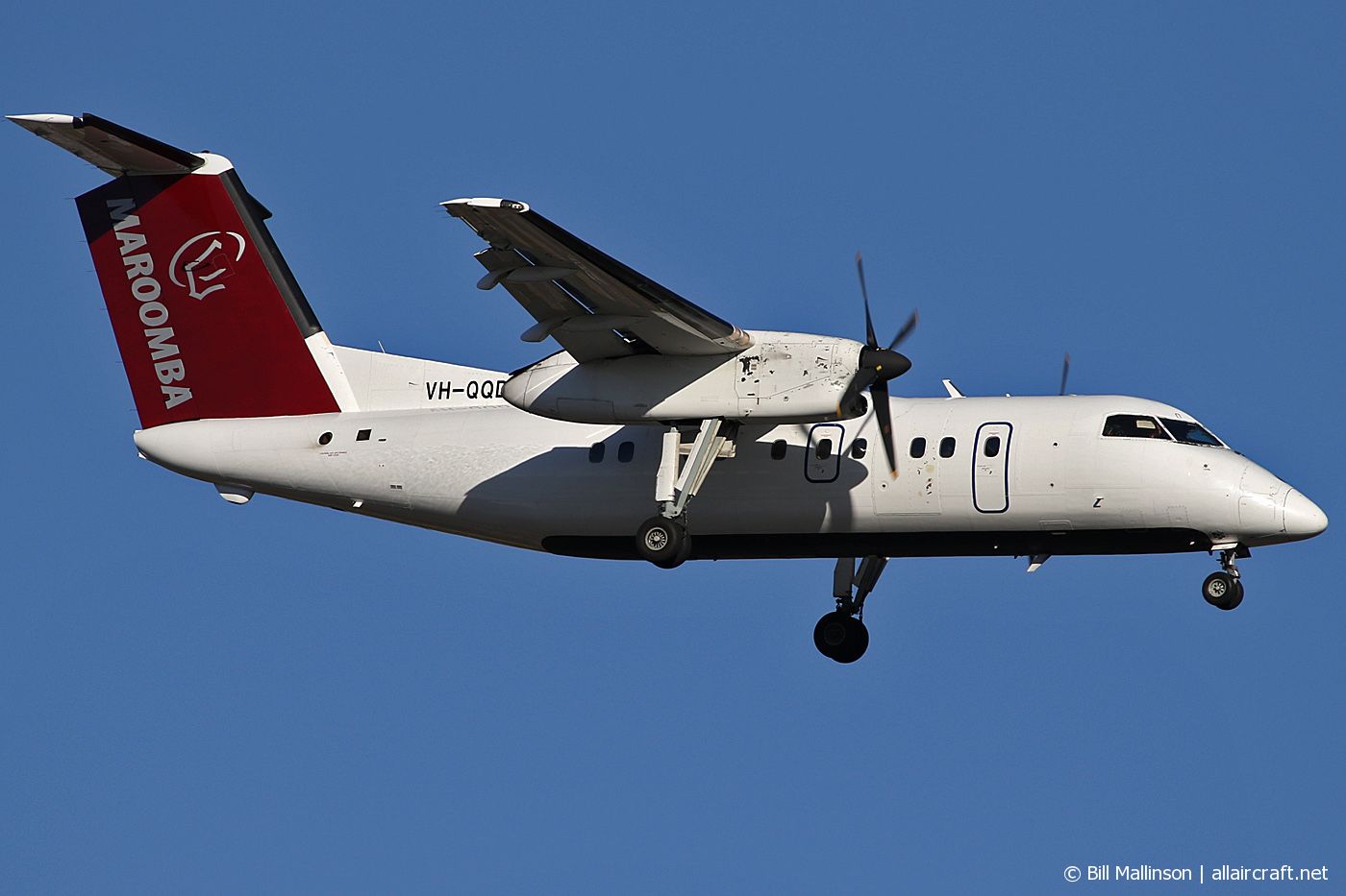 VH-QQD (245) 1990 DeHavilland Canada DHC-8-102A Dash 8