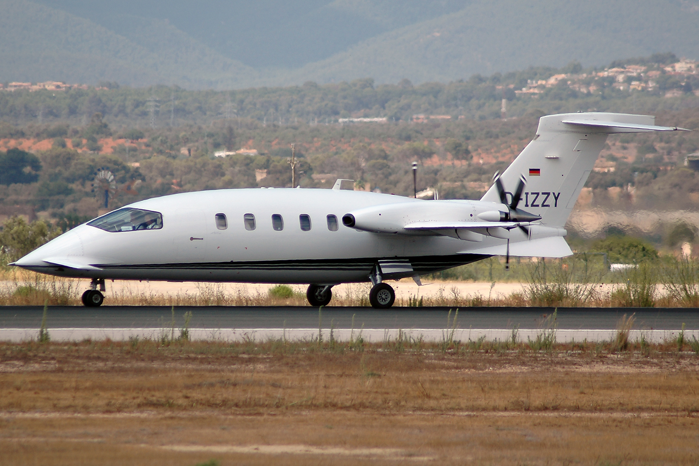 D-IZZY · Piaggio P-180 Avanti · (PMI / LEPA / LESJ)