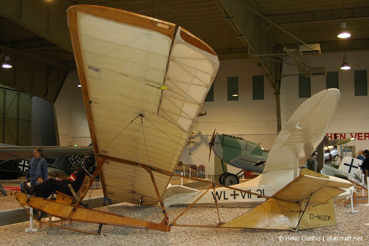 D-4037 · Grunau SG-38 · (GWW / EDUG)