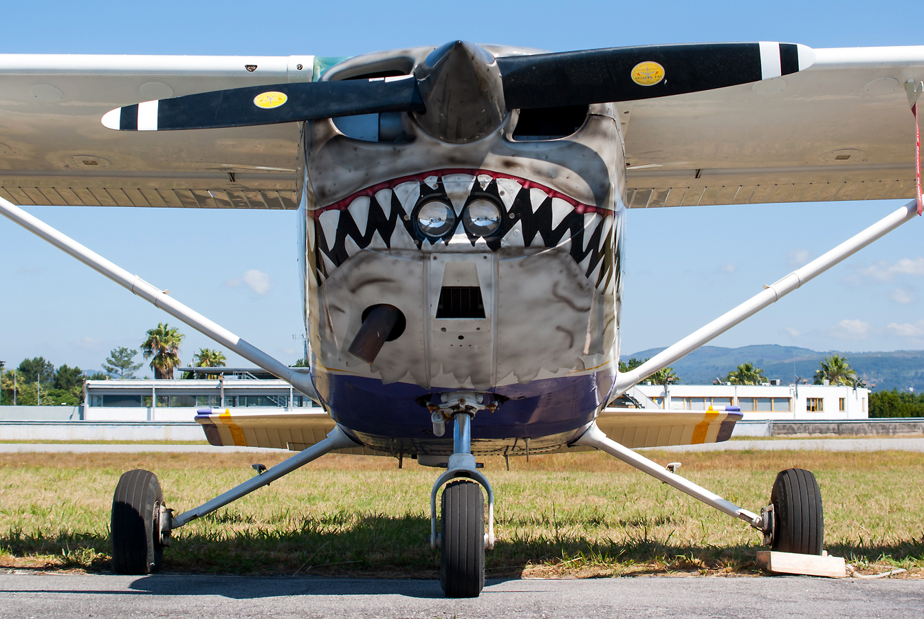 EC-FOO · Cessna 172N Skyhawk · (BGZ / LPBR)