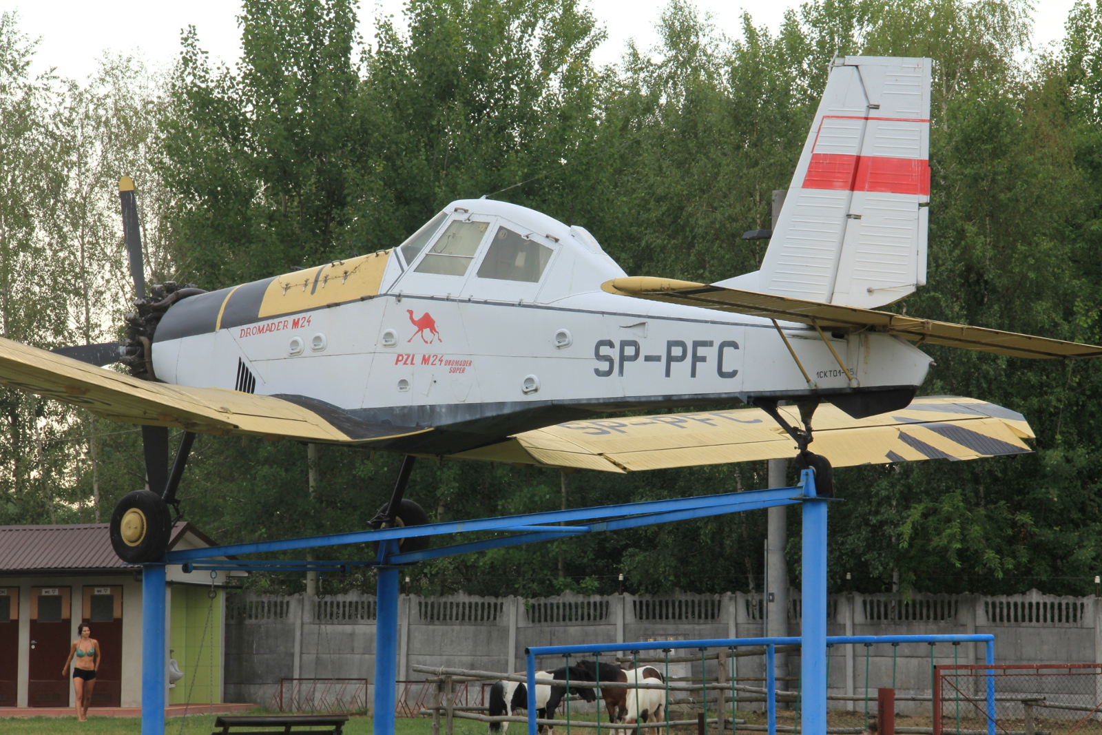 SP-PFC · PZL M24 Dromader Super · (EPML)
