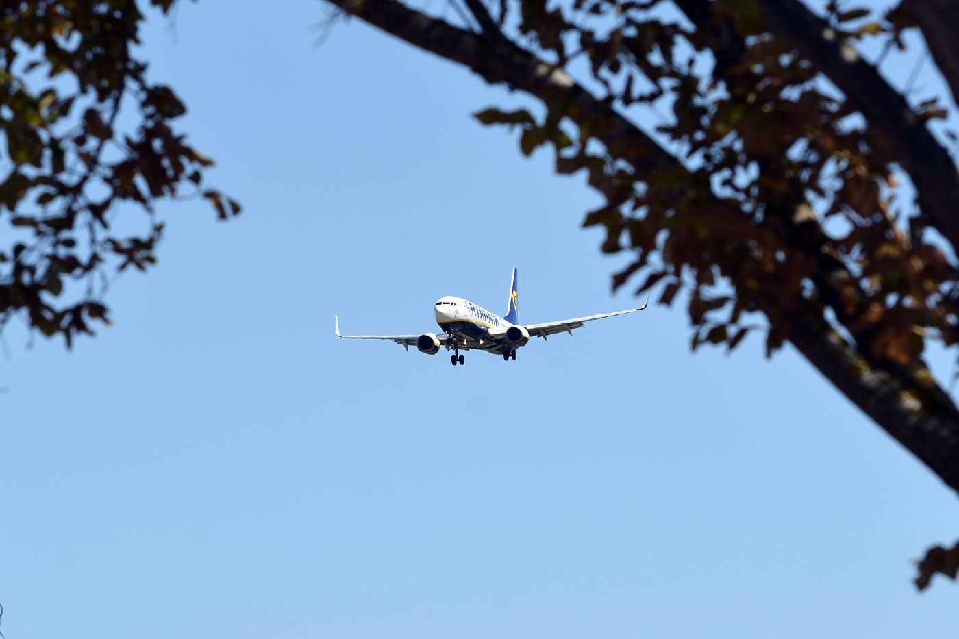 EI-EBA · Boeing 737-8AS(WL) · (PMI / LEPA / LESJ)