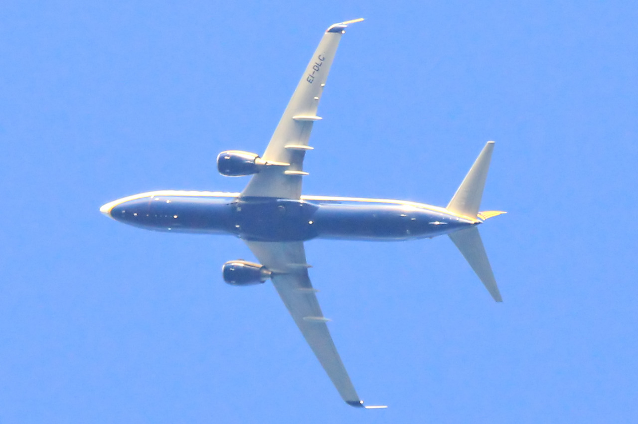 EI-DLC · Boeing 737-8AS(WL) · -