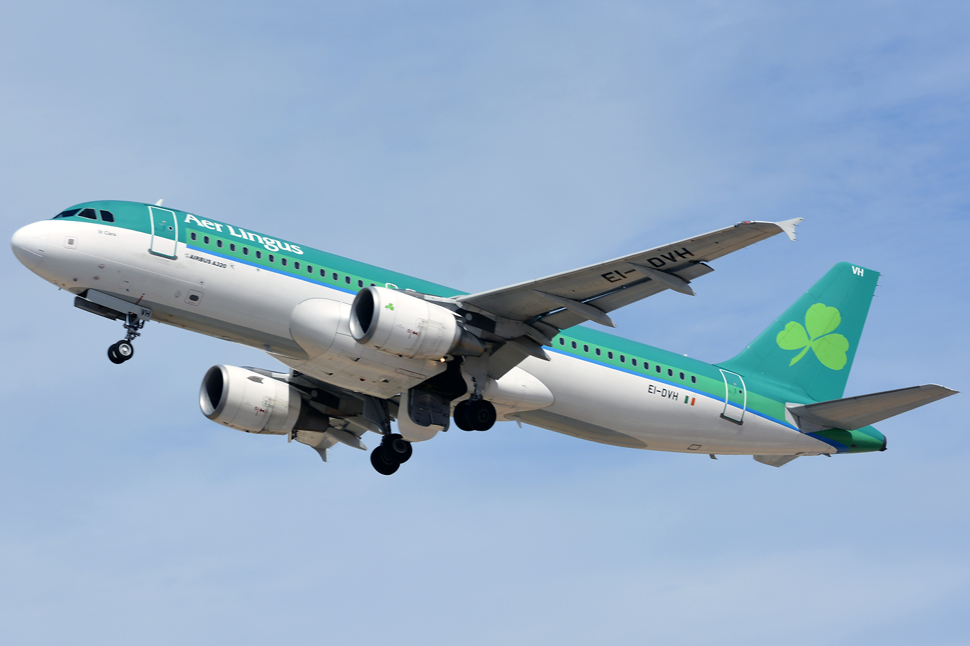 EI-DVH · Airbus A320-214 · (FAO / LPFR)