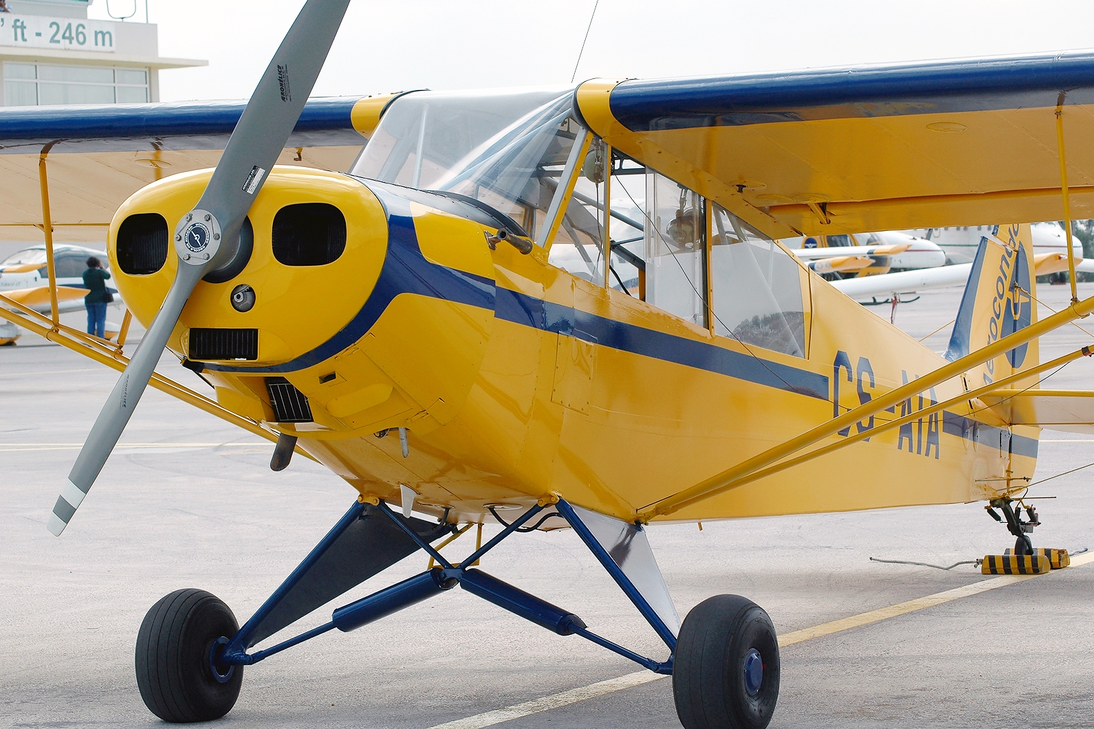 CS-AIA · Piper PA-18-135 Super Cub · (LPEV)
