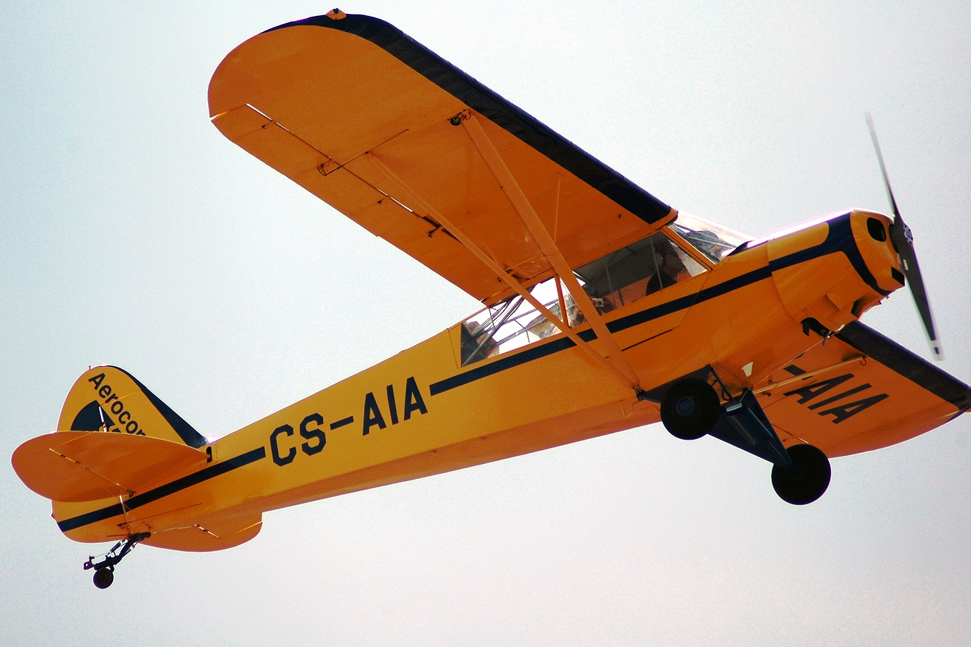 CS-AIA · Piper PA-18-135 Super Cub · (LPEV)