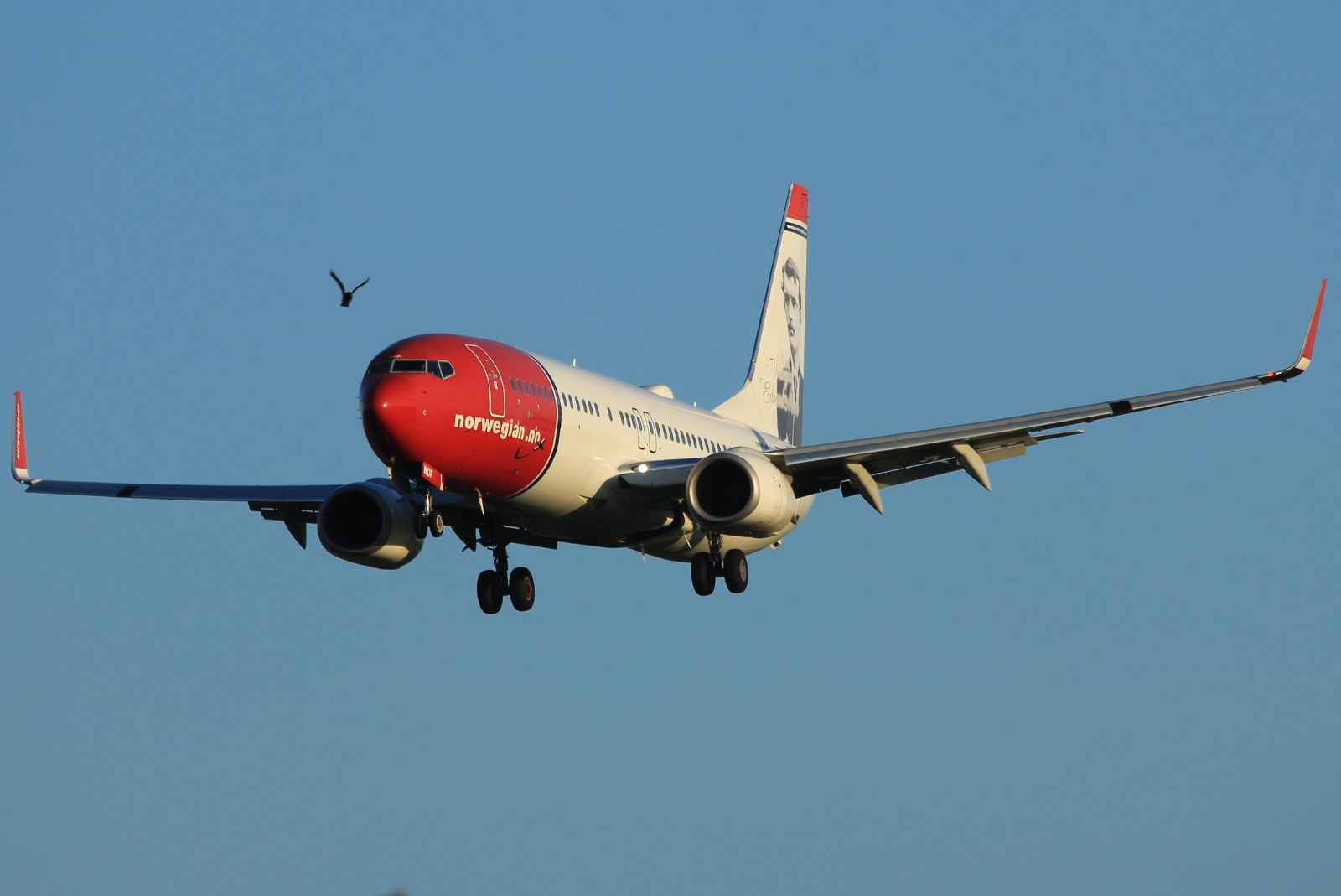 LN-NOF · Boeing 737-86N(WL) · (SVG / ENZV)