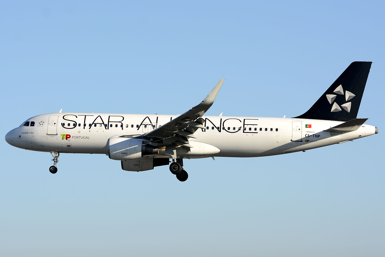 CS-TNP (2178) 2004 Airbus A320-214(WL)