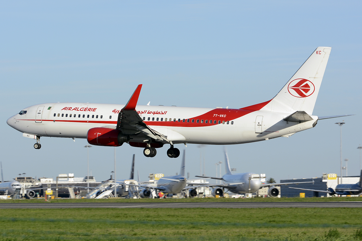7T-VKC · Boeing 737-8D6(WL) · (LIS / LPPT)