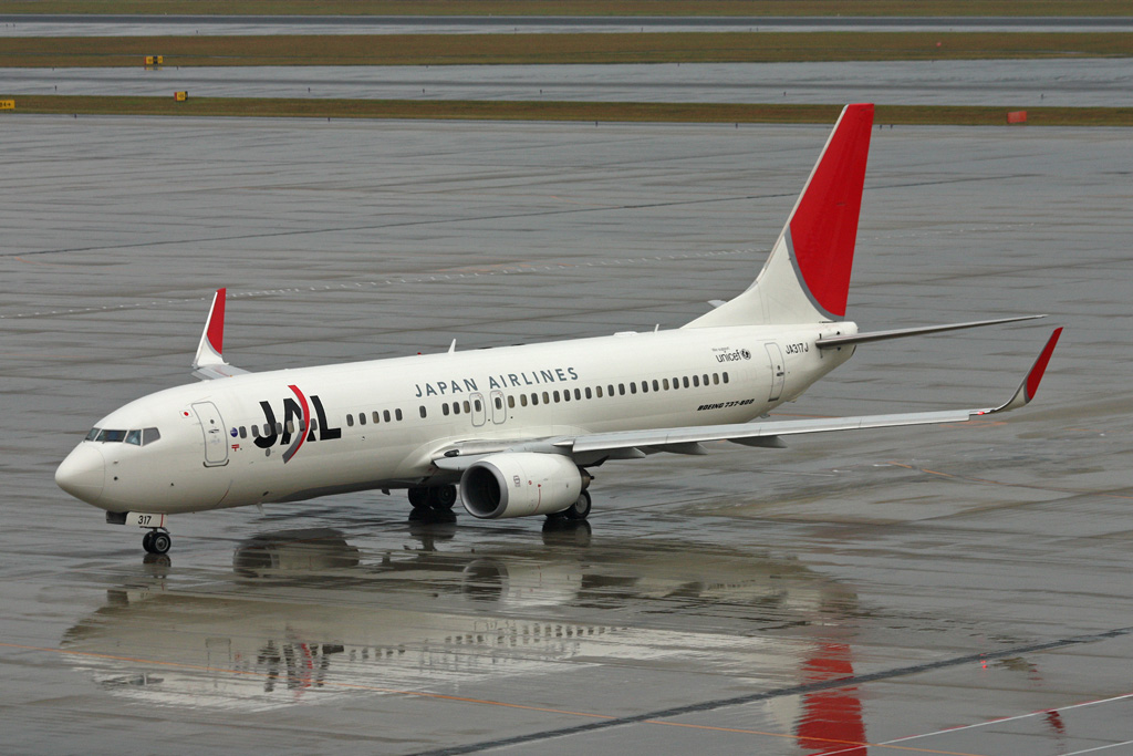 JA317J · Boeing 737-846(WL) · (NGO / RJGG)