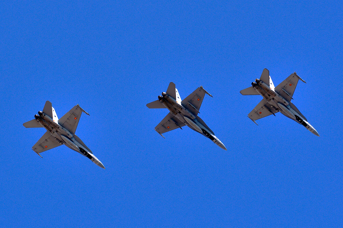 C.15-95 · McDonnell Douglas EF-18A Hornet · (LPA / GCLP)