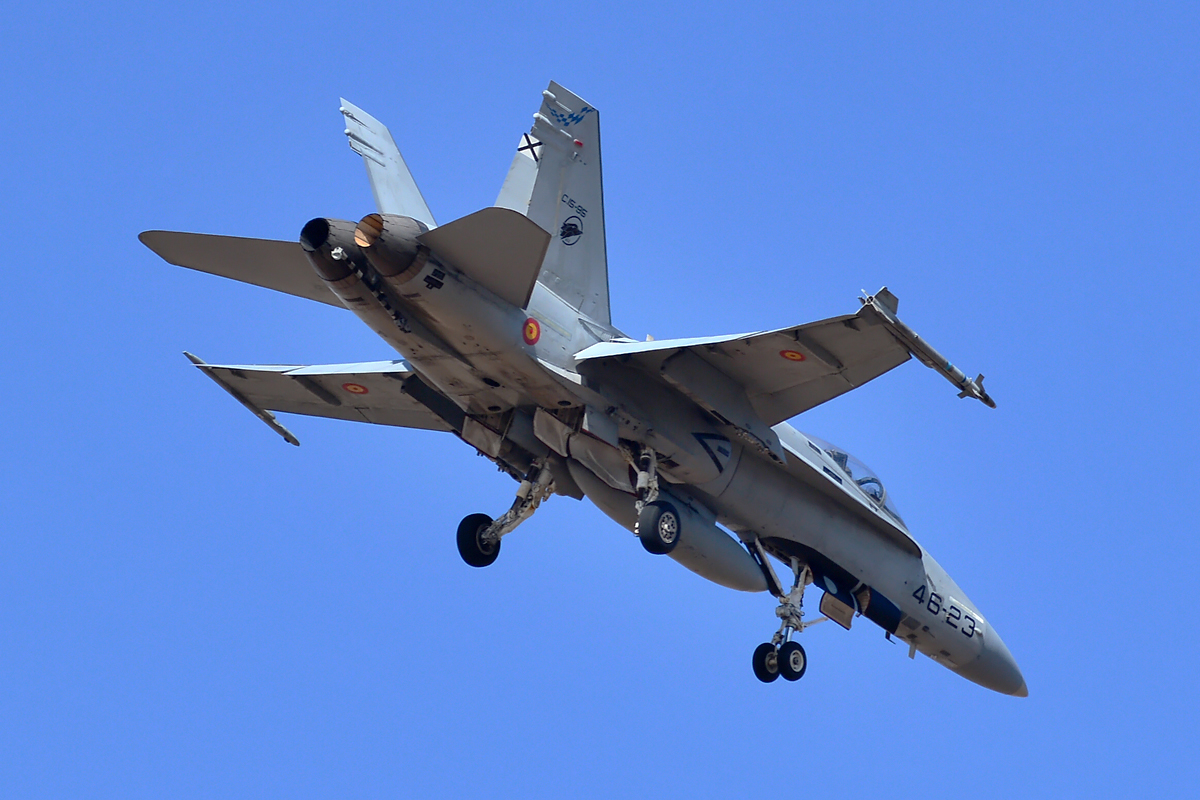 C.15-95 · McDonnell Douglas EF-18A Hornet · (LPA / GCLP)