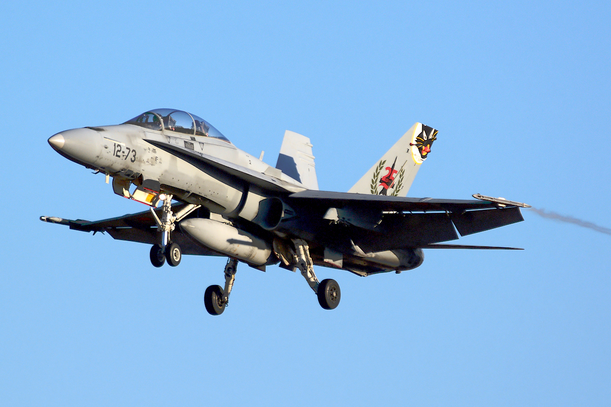 CE.15-10 · McDonnell Douglas EF-18BM Hornet · (LPA / GCLP)