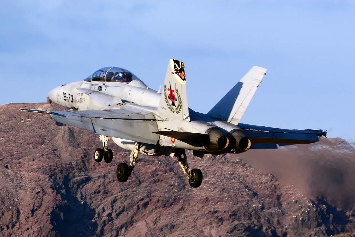 CE.15-10 · McDonnell Douglas EF-18BM Hornet · (LPA / GCLP)