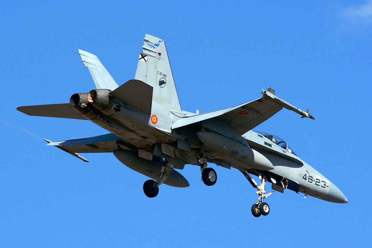 C.15-95 · McDonnell Douglas EF-18A Hornet · (LPA / GCLP)
