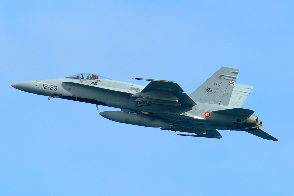 C.15-65 · McDonnell Douglas EF-18M Hornet · (LPA / GCLP)