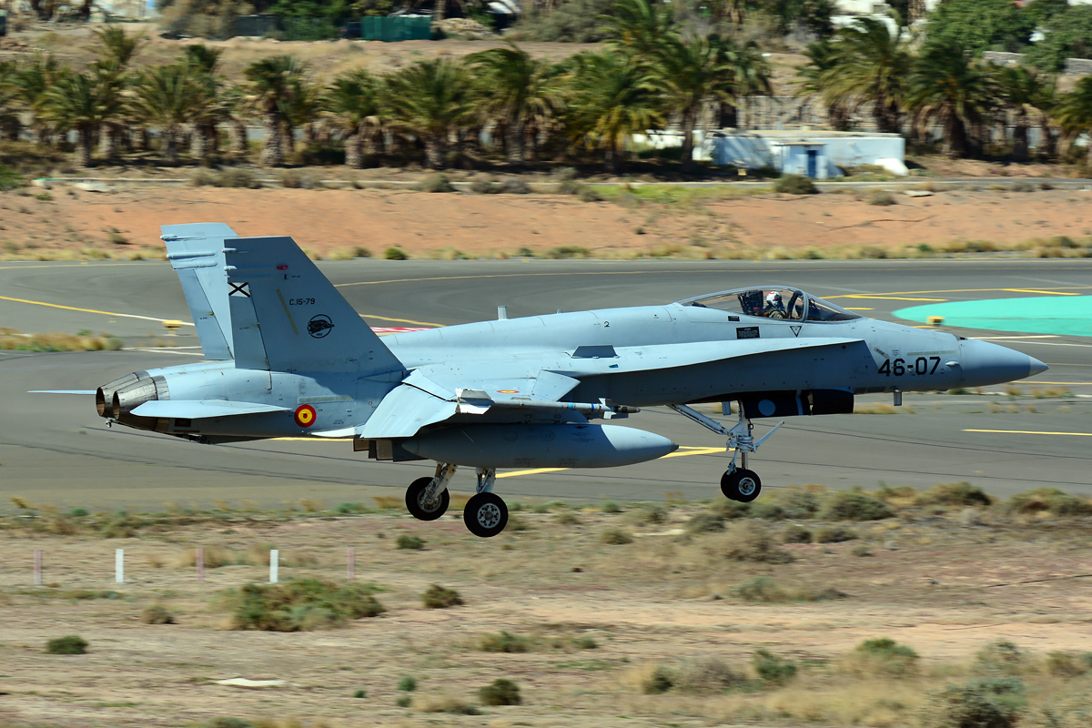 C.15-79 · McDonnell Douglas EF-18A Hornet · (LPA / GCLP)