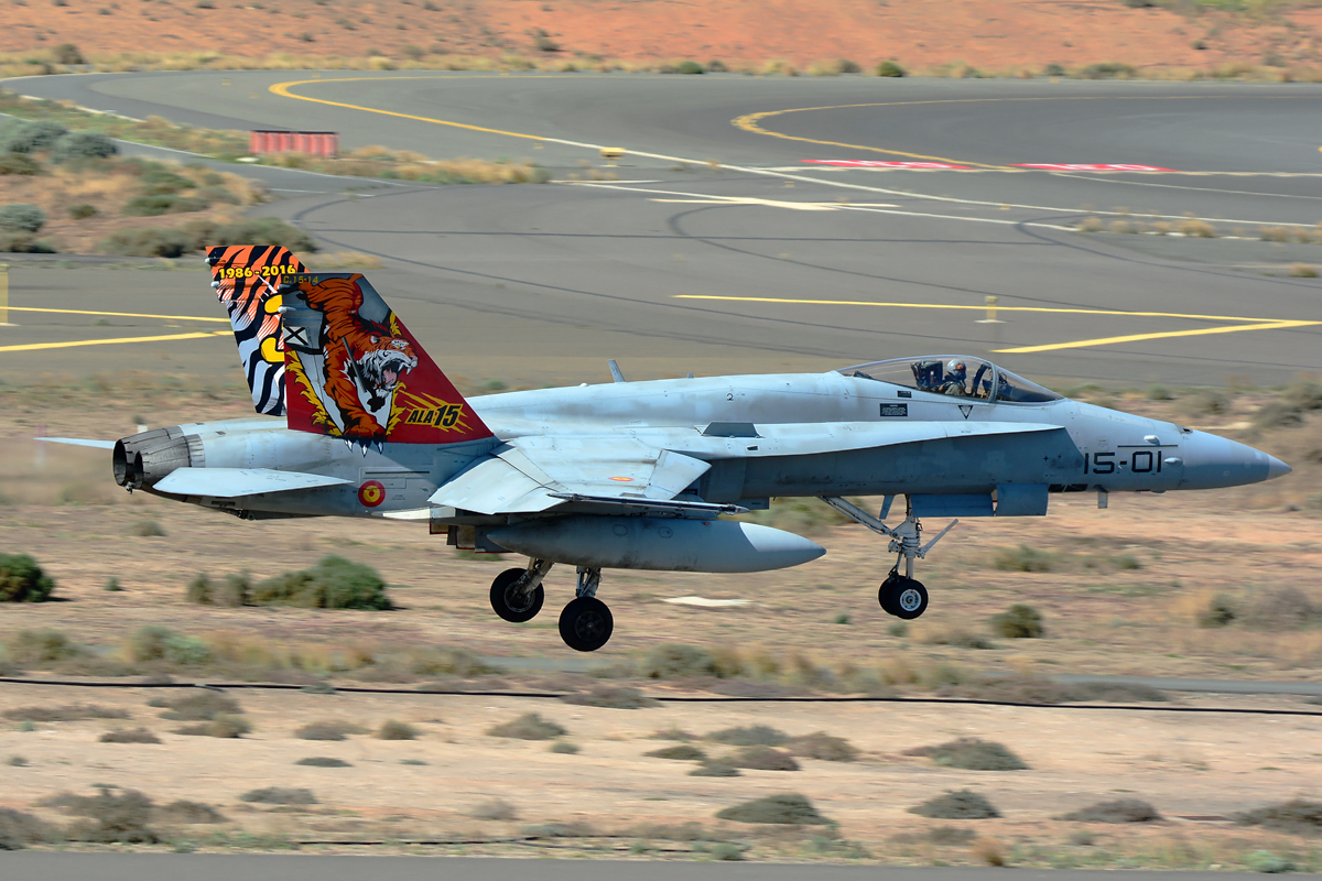 C.15-14 · McDonnell Douglas EF-18A Hornet · (LPA / GCLP)