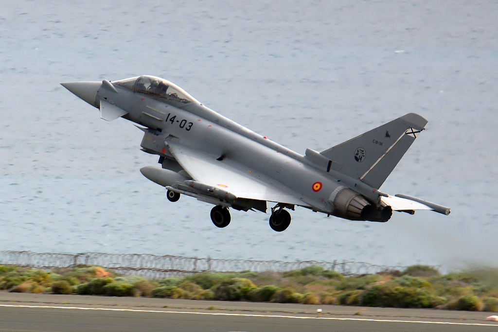 C.15-36 · McDonnell Douglas EF-18A Hornet · (LPA / GCLP)