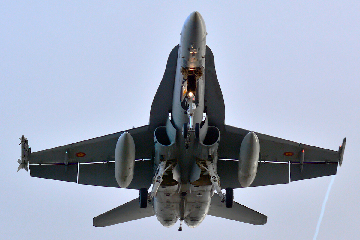 C.15-45 · McDonnell Douglas EF-18A Hornet · (LPA / GCLP)