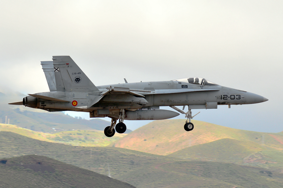 C.15-45 · McDonnell Douglas EF-18A Hornet · (LPA / GCLP)