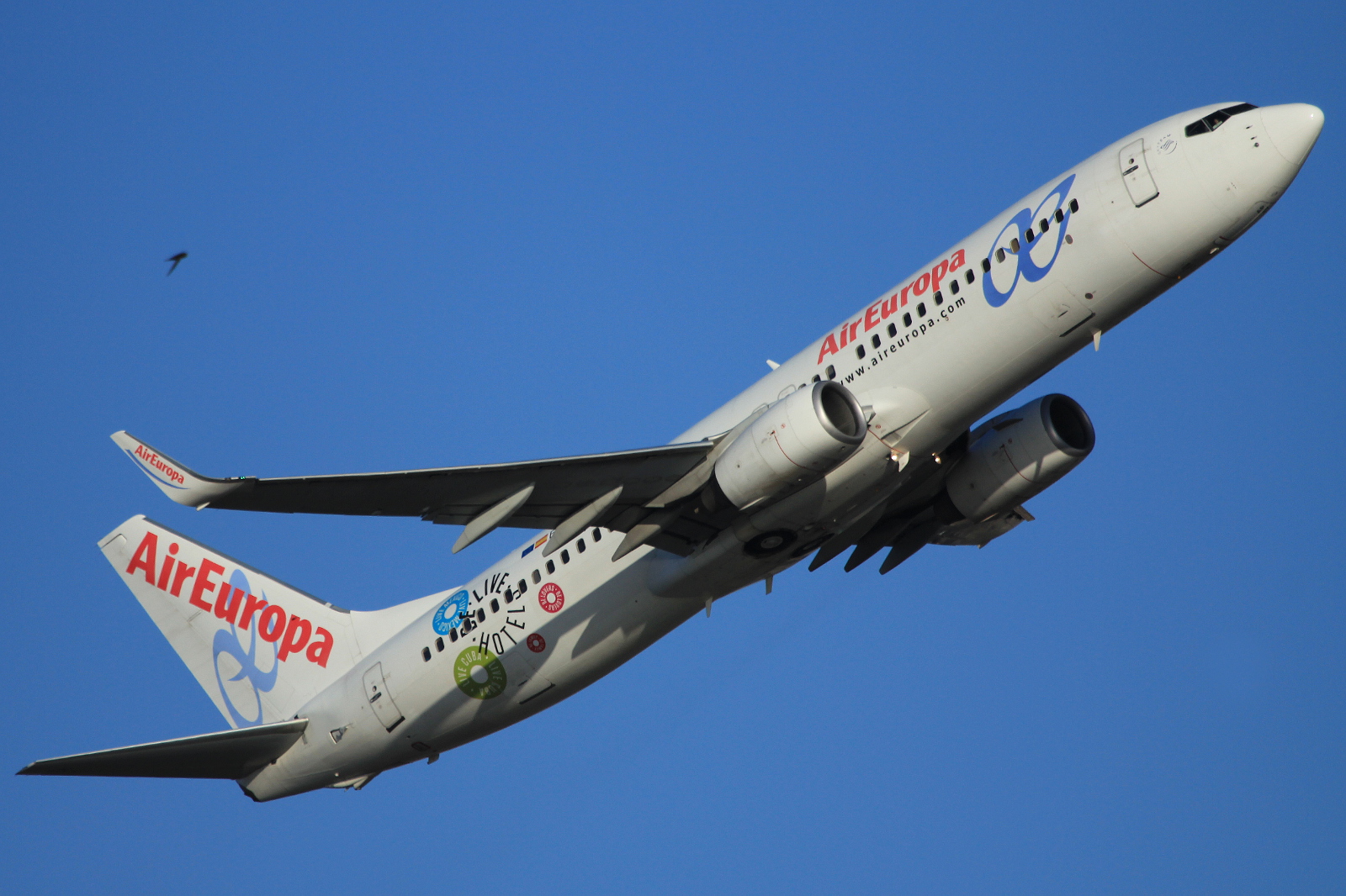 EC-JAP (33971) 2004 Boeing 737-85P(WL)
