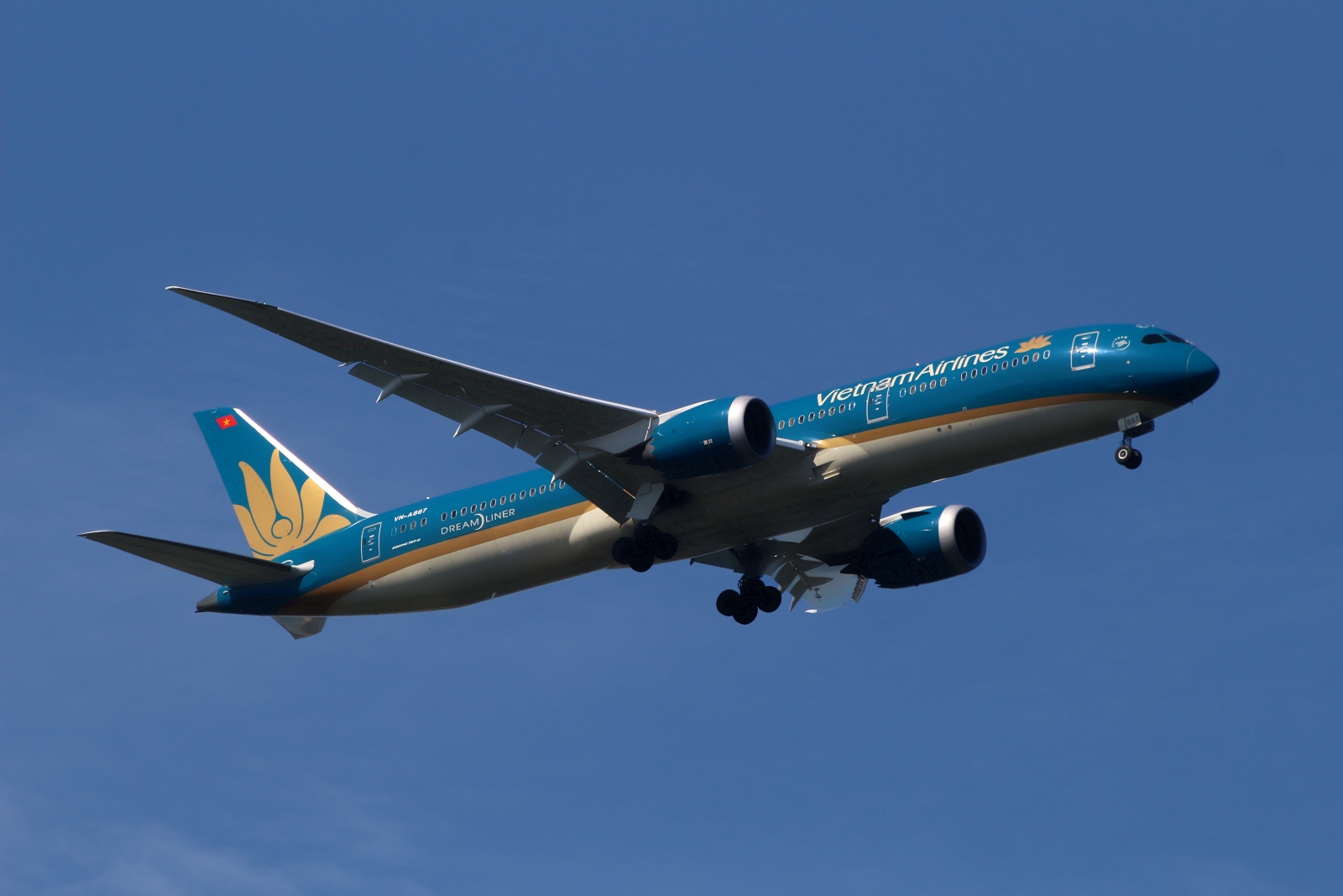 VN-A867 (39287) 2016 Boeing 787-9 Dreamliner