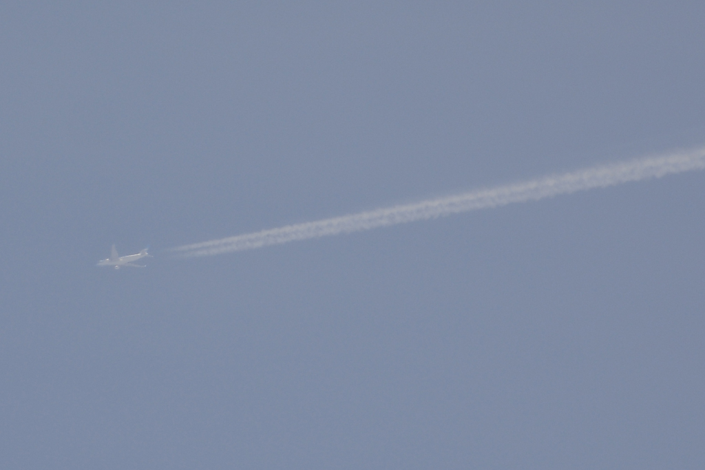 LV-FVH (cn 1605) Airbus A330-202