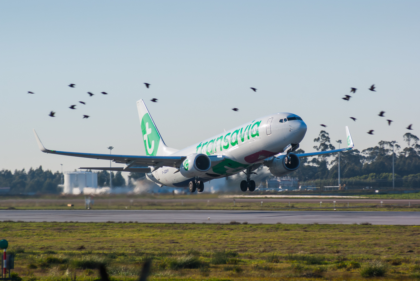 F-GZHY · Boeing 737-8K2(WL) · (OPO / LPPR)
