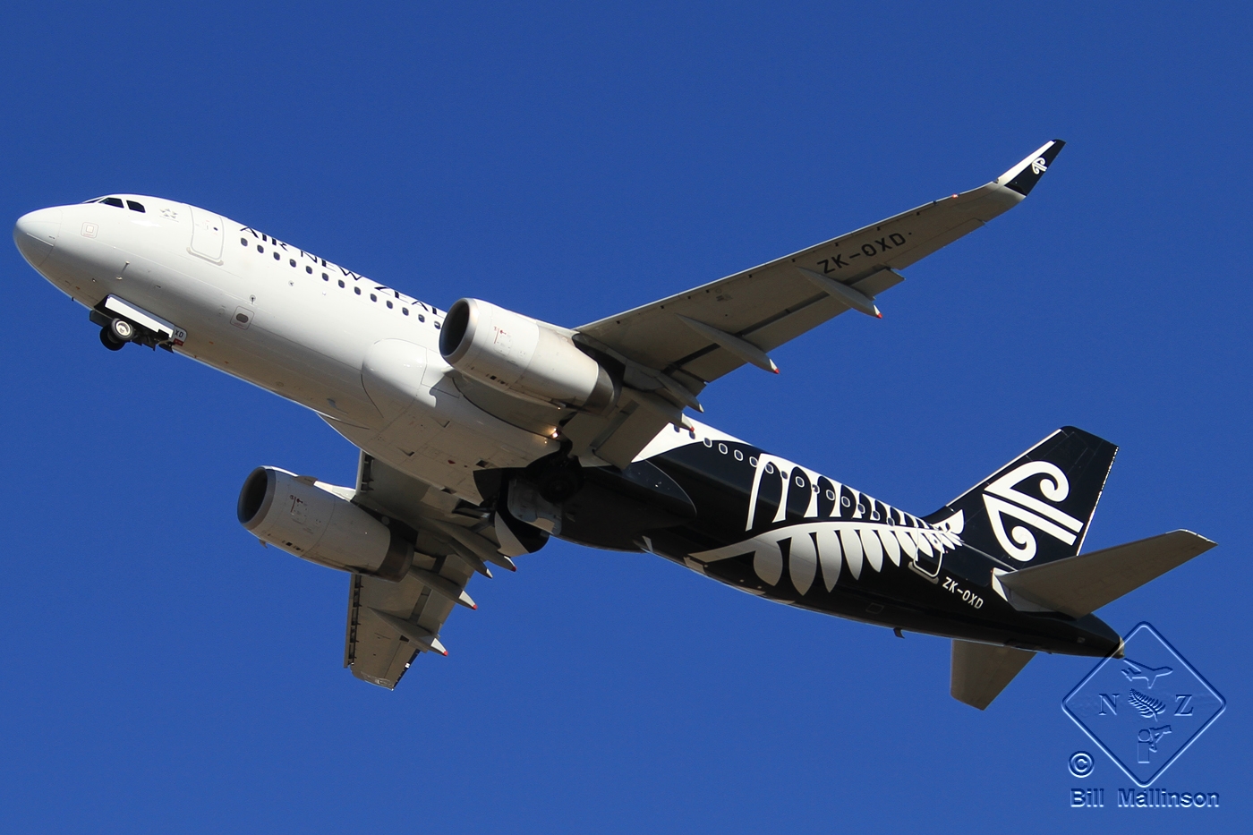 ZK-OXD (5962) 2014 Airbus A320-232(WL)