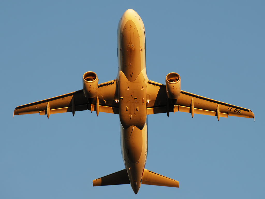 EI-DSE · Airbus A320-216 · (FCO / LIRF)