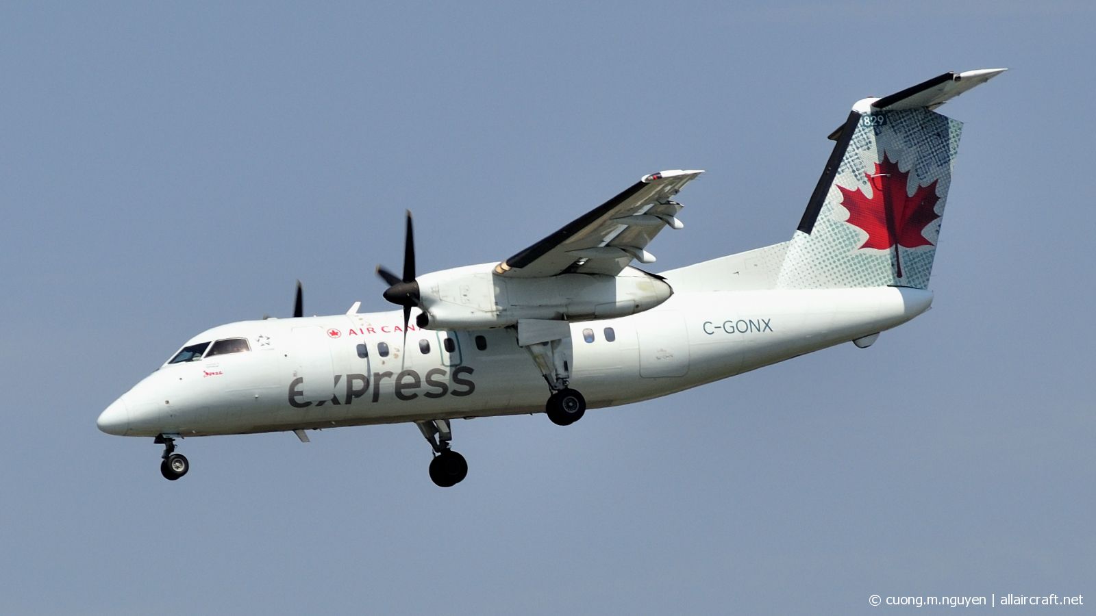 C-GONX (118) 1988  Bombardier Dash 8-102
