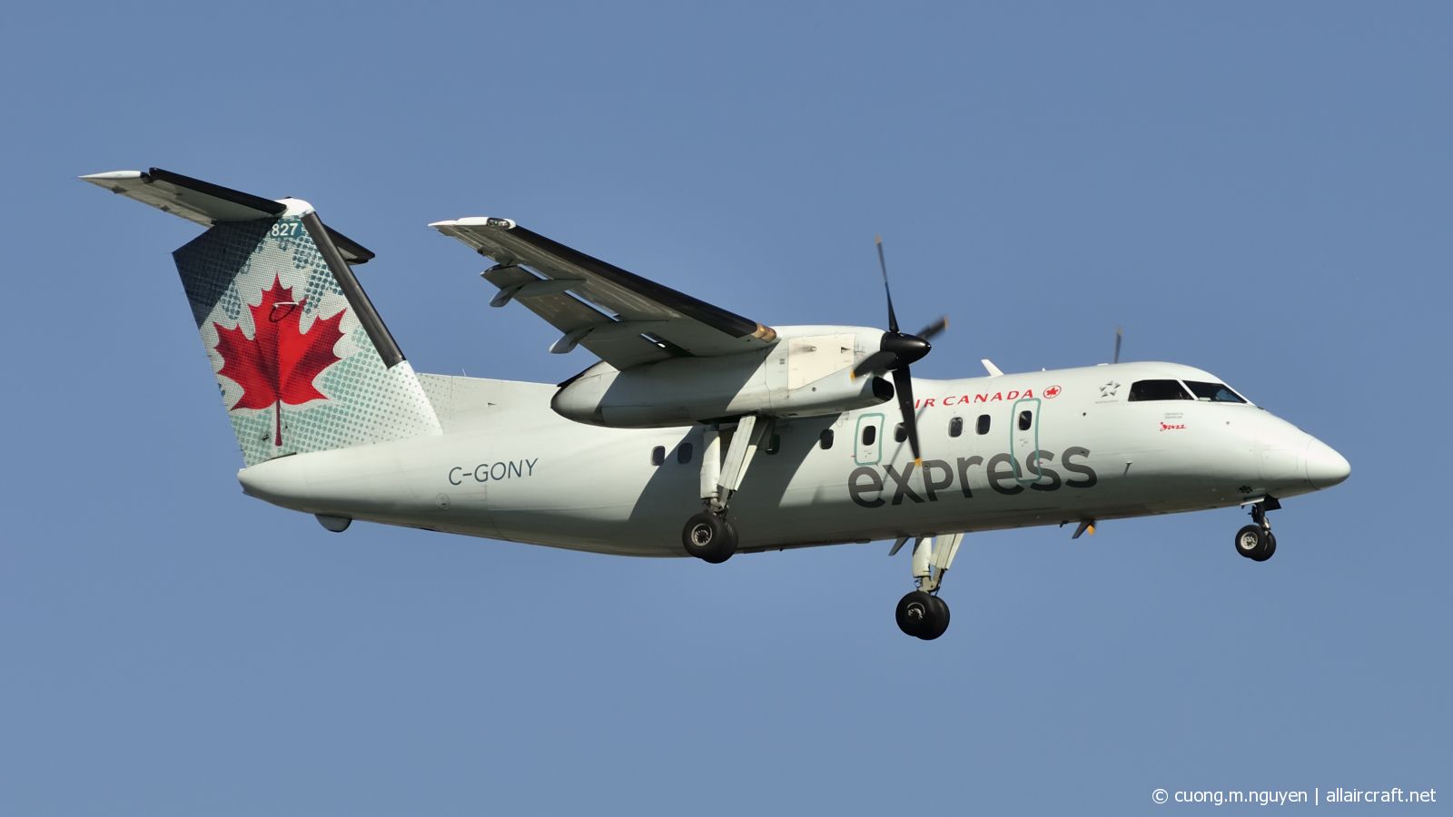 C-GONY (115) 1988 Bombardier Dash 8-102