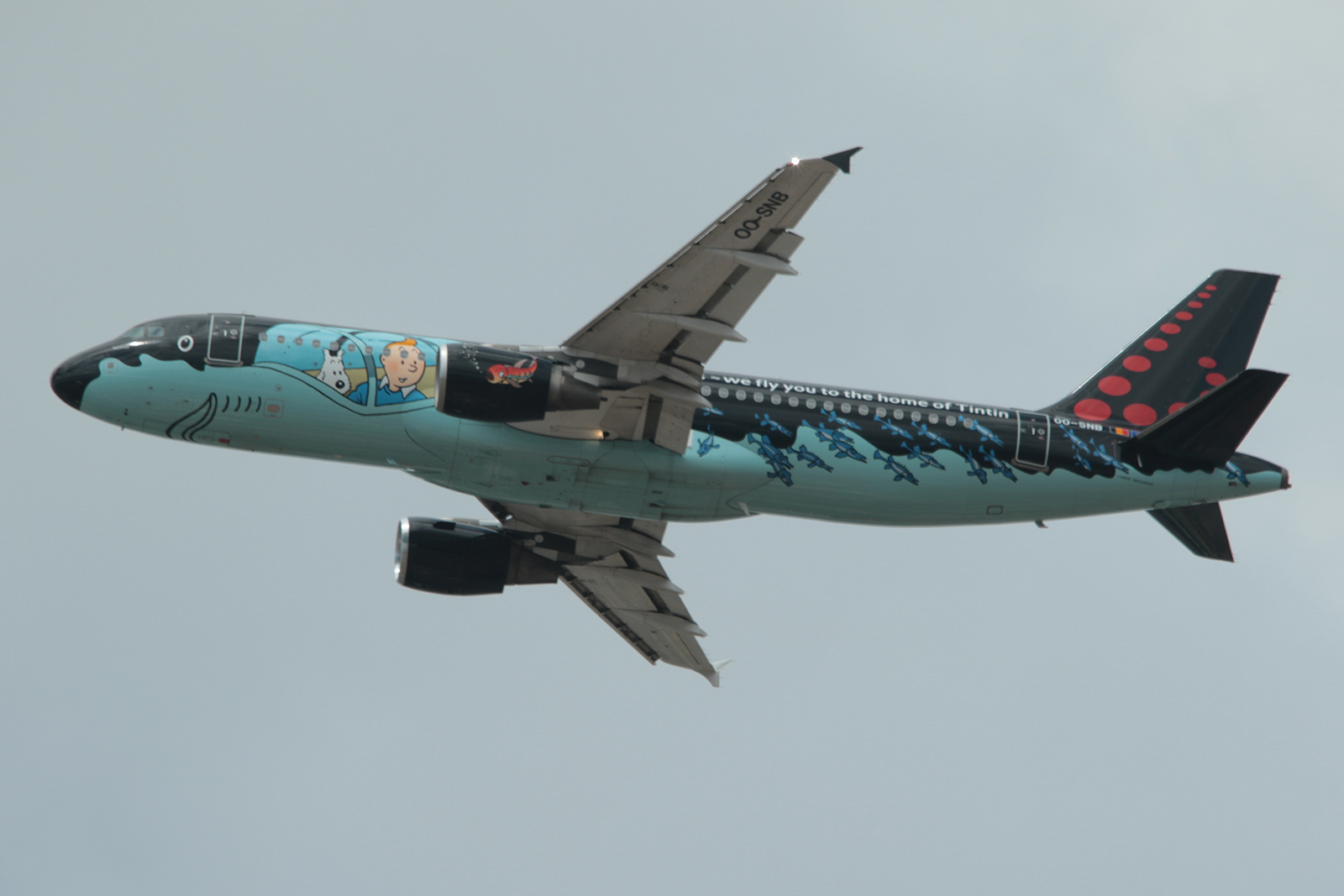 OO-SNB (cn 1493) Airbus A320-214