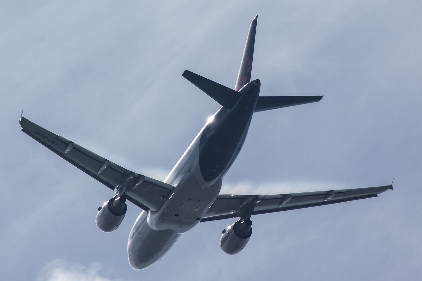 OO-SSR · Airbus A319-112 · (OPO / LPPR)