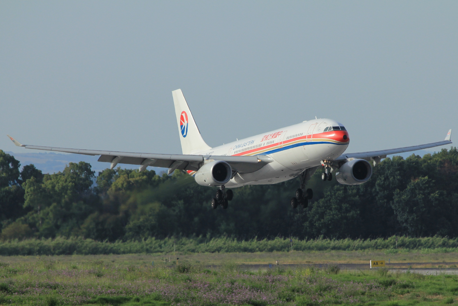 B-6537 · Airbus A330-243 · (FCO / LIRF)