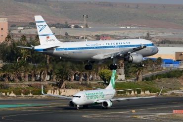 D-AICA