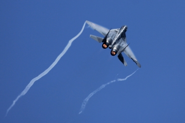 114 (2960535114) Mikoyan-Gurevich Mig-29 Fulcrum A