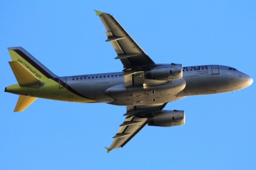 D-AGWG (3193) 2007 Airbus A319-132