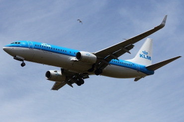 PH-BXY (30372) 2008 Boeing 737-8K2(WL)